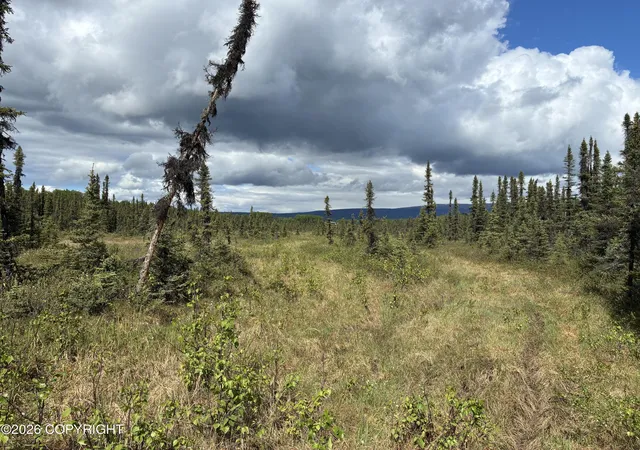Photo 3 of Land for sale at 3846 N White Knight Dr, Wasilla, AK 99623 | MLS# 26-7850 | Listing updated on 2026-09-03