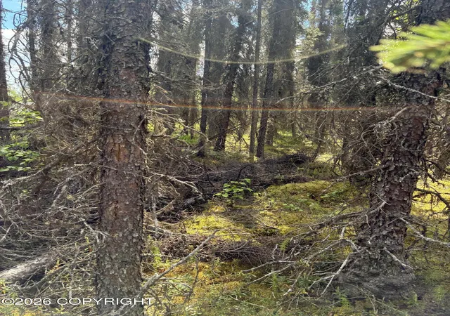Photo 4 of Land for sale at 3846 N White Knight Dr, Wasilla, AK 99623 | MLS# 26-7850 | Listing updated on 2026-09-03