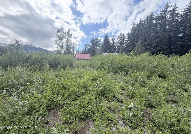 Homes for sale in Haines, AK | Lots 8&9 Spruce Grove St, Haines, AK 99827 | MLS# 26-7872