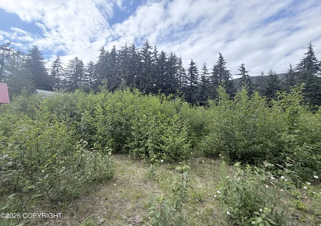 Homes for sale in Haines, AK | Lots 8&9 Spruce Grove St, Haines, AK 99827 | MLS# 26-7872