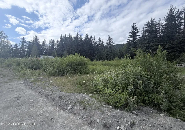 Homes for sale in Haines, AK | Lots 8&9 Spruce Grove St, Haines, AK 99827 | MLS# 26-7872