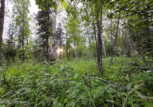 1st image of 14403 E Lichtenwalner Rd, Talkeetna, AK 99676 | MLS# 26-8287