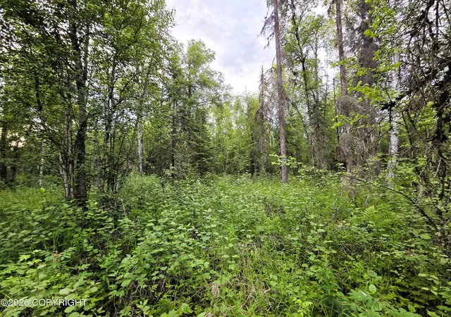 2nd image of 14403 E Lichtenwalner Rd, Talkeetna, AK 99676 | MLS# 26-8287