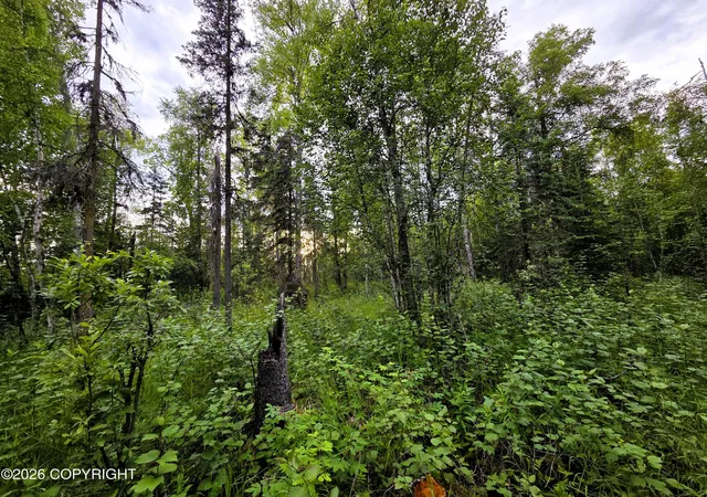 Photo 3 of Land for sale at 14403 E Lichtenwalner Rd, Talkeetna, AK 99676 | MLS# 26-8287 | Listing updated on 2026-07-08
