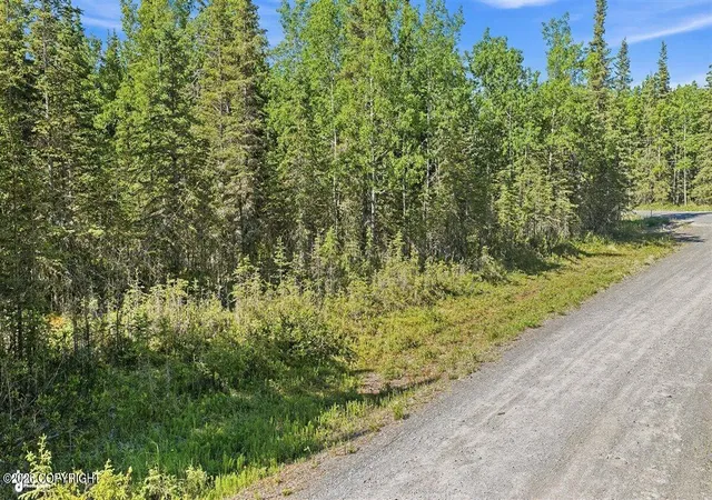 Homes for sale in Kasilof, AK | 53635 Gerber Ct, Kasilof, AK 99610 | MLS# 26-8064
