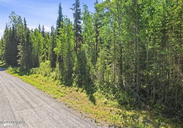 Homes for sale in Kasilof, AK | 53635 Gerber Ct, Kasilof, AK 99610 | MLS# 26-8064