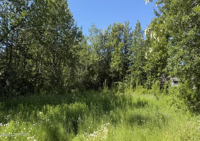 1st image of 000 E 79th Ave, Anchorage, AK 99518 | MLS# 26-8098