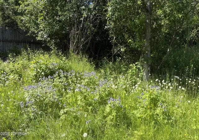 Photo 2 of Land for sale at 000 E 79th Avenue, Anchorage, AK 99518 | MLS# 26-8098 | Listing updated on 2026-07-15
