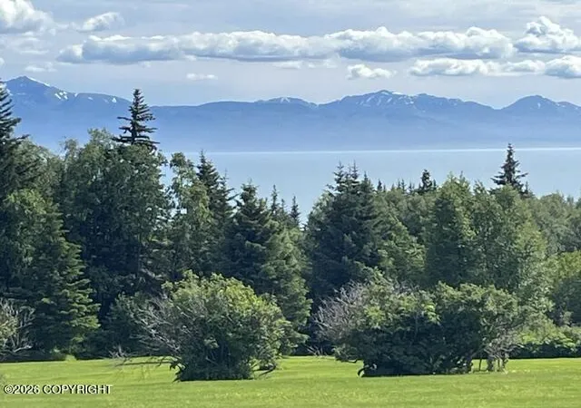 Homes for sale in Homer, AK | 930 Quiet Creek Dr #930, Homer, AK 99603 | MLS# 26-8041