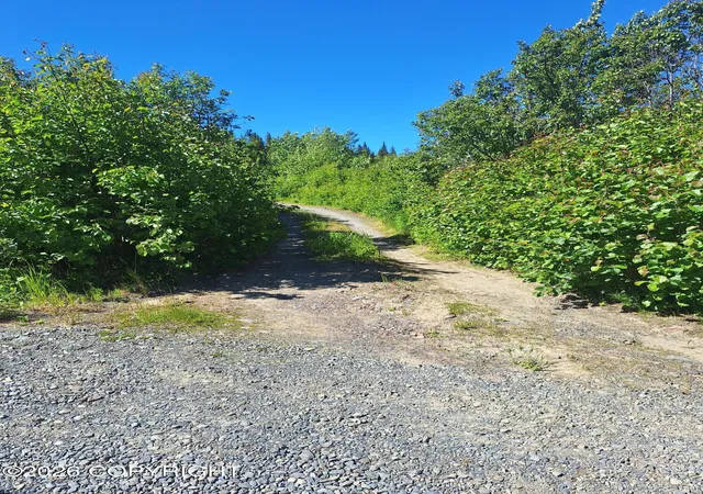 Homes for sale in Anchor Point, AK | 36052 N Fork Rd, Anchor Point, AK 99556 | MLS# 26-7956