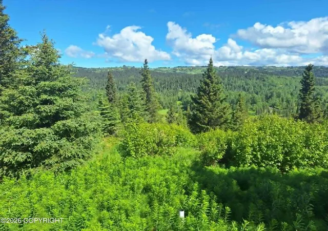 Homes for sale in Anchor Point, AK | 36052 N Fork Rd, Anchor Point, AK 99556 | MLS# 26-7956