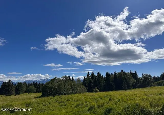 Photo 4 of Sale Pending at 40775 Hancock Dr, Homer, AK 99603 | MLS# 26-8453 | Listing updated on 2026-09-23