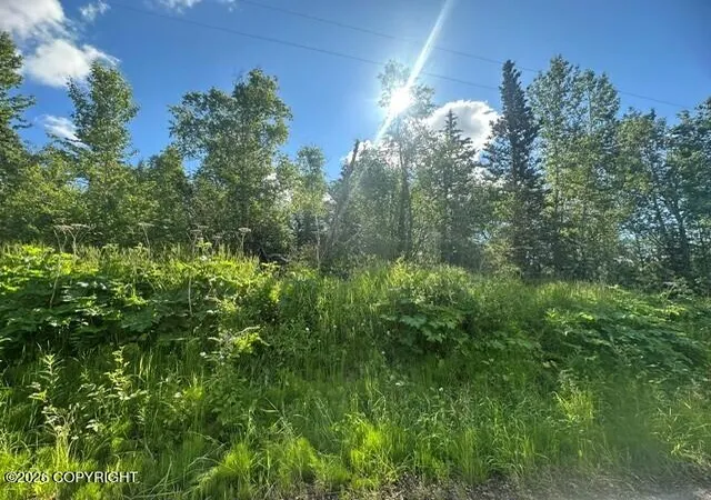 1st image of 1431 N Branding Iron Ln, Palmer, AK 99645 | MLS# 26-7946