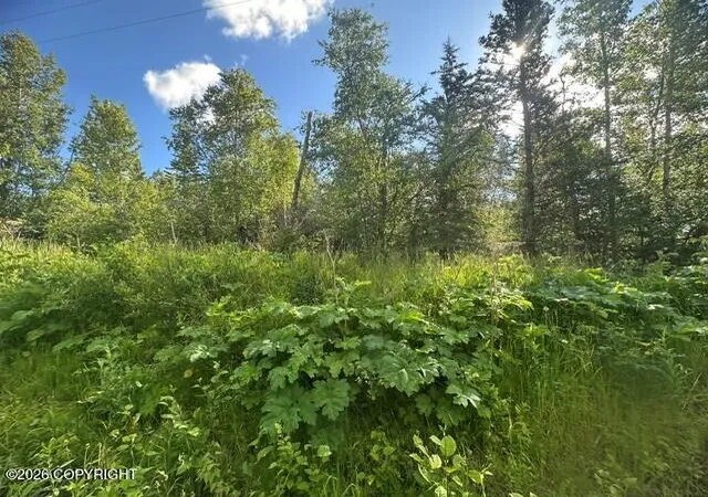 2nd image of 1431 N Branding Iron Ln, Palmer, AK 99645 | MLS# 26-7946