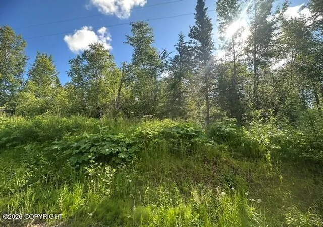 4th image of 1431 N Branding Iron Ln, Palmer, AK 99645 | MLS# 26-7946