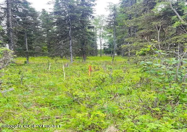 Photo 1 of Land for sale at L2 Madsen Ave, Kasilof, AK 99610 | MLS# 26-7957 | Listing updated on 2026-07-24