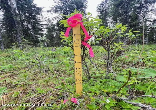 Photo 2 of Land for sale at L2 Madsen Ave, Kasilof, AK 99610 | MLS# 26-7957 | Listing updated on 2026-07-24