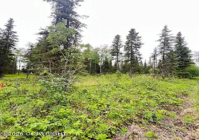 Photo 3 of Land for sale at L2 Madsen Ave, Kasilof, AK 99610 | MLS# 26-7957 | Listing updated on 2026-07-24