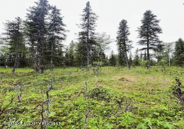 Photo 4 of Land for sale at L2 Madsen Ave, Kasilof, AK 99610 | MLS# 26-7957 | Listing updated on 2026-07-24