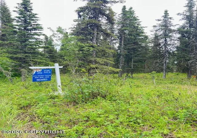 Photo 5 of Land for sale at L2 Madsen Ave, Kasilof, AK 99610 | MLS# 26-7957 | Listing updated on 2026-07-24