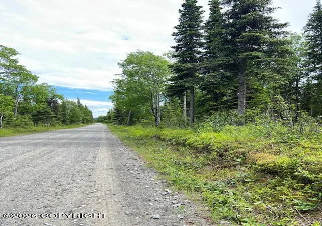 Homes for sale in Kasilof, AK | 000 Madsen Ave, Kasilof, AK 99610 | MLS# 26-7960