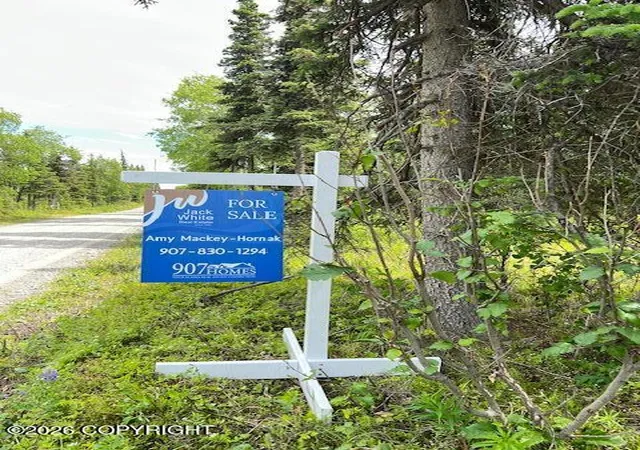 Homes for sale in Kasilof, AK | 000 Madsen Ave, Kasilof, AK 99610 | MLS# 26-7960