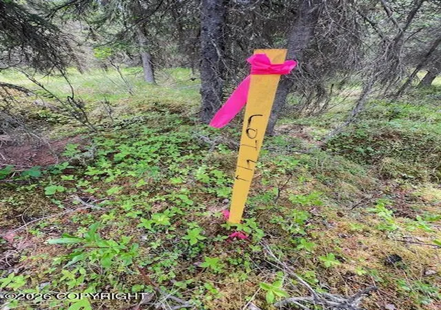 Homes for sale in Kasilof, AK | 000 Madsen Ave, Kasilof, AK 99610 | MLS# 26-7960