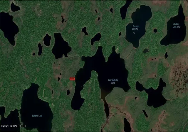 Homes for sale in Willow, AK | Lot 12 E Butterfly Lake, Willow, AK 99688 | MLS# 26-8655