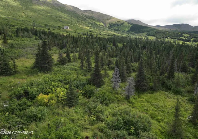 Homes for sale in Anchorage, AK | Lot A 1 Mountain Terrace Estates #2 Rd, Anchorage, AK 99516 | MLS# 26-8161