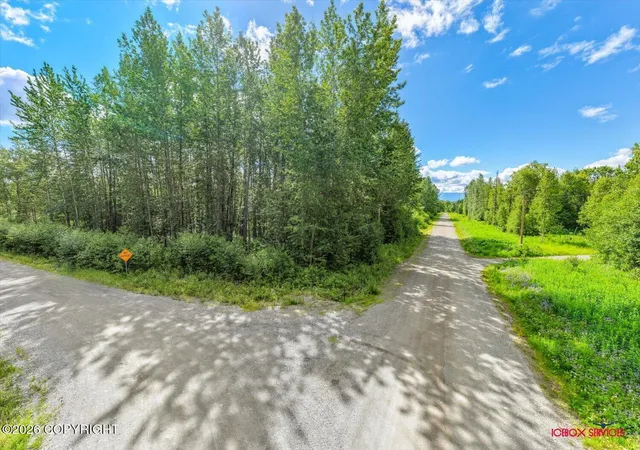 18th image of Nhn E Ski Bunny Cir, Palmer, AK 99645 | MLS# 26-8081