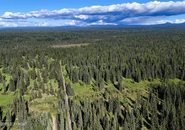 Photo 4 of Land for sale at 66405 Walatka Ave, Ninilchik, AK 99639 | MLS# 26-8171 | Listing updated on 2026-08-08