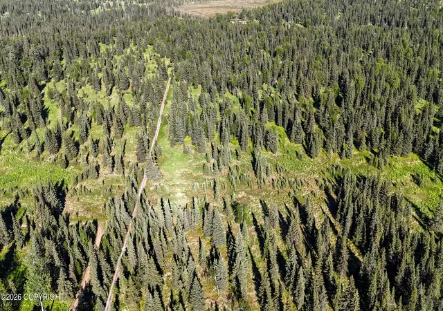 Photo 5 of Land for sale at 66405 Walatka Ave, Ninilchik, AK 99639 | MLS# 26-8171 | Listing updated on 2026-08-08