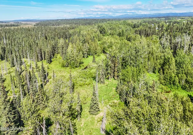 Homes for sale in Anchor Point, AK | Mi 3 North Fork Anchor River, Anchor Point, AK 99556 | MLS# 26-8306