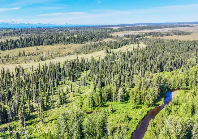 Homes for sale in Anchor Point, AK | Mi 3 North Fork Anchor River, Anchor Point, AK 99556 | MLS# 26-8306