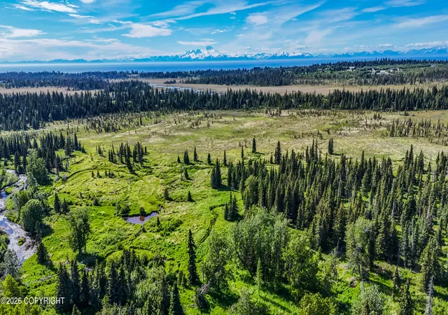 Homes for sale in Anchor Point, AK | Mi 3 North Fork Anchor River, Anchor Point, AK 99556 | MLS# 26-8306