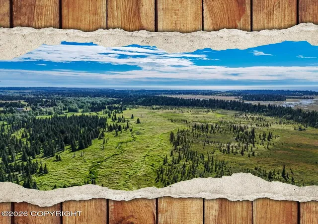 Homes for sale in Anchor Point, AK | 000 North Fork Anchor River, Anchor Point, AK 99556 | MLS# 26-8305