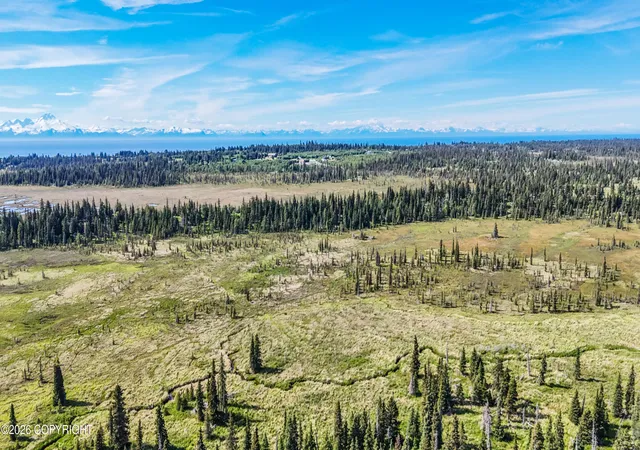 Homes for sale in Anchor Point, AK | 000 North Fork Anchor River, Anchor Point, AK 99556 | MLS# 26-8305