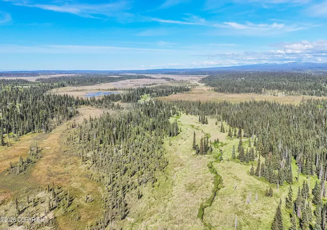Homes for sale in Anchor Point, AK | 000 North Fork Anchor River, Anchor Point, AK 99556 | MLS# 26-8305