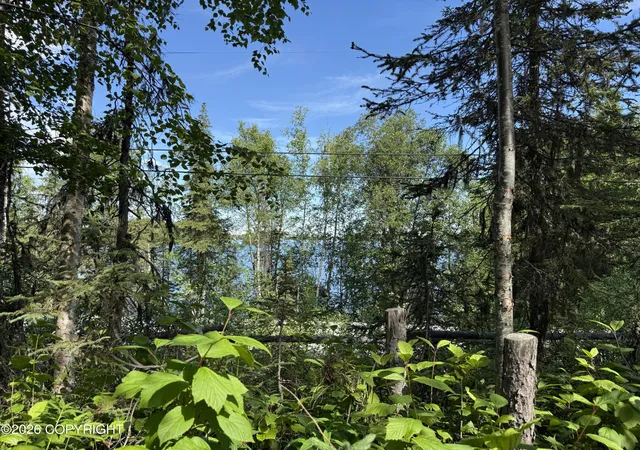 Homes for sale in Big Lake, AK | 19462 W Susitna Pkwy, Big Lake, AK 99652 | MLS# 26-8309