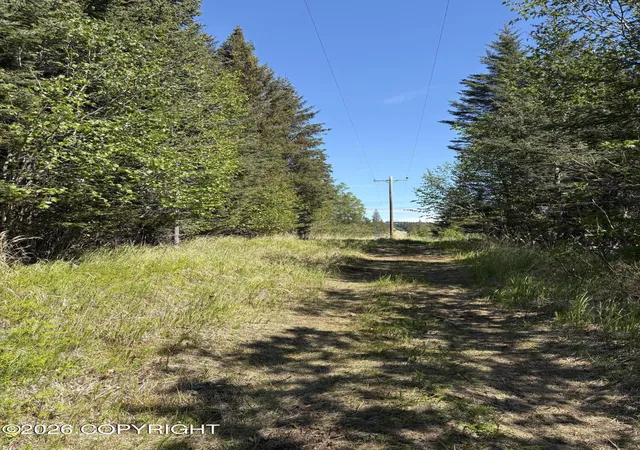 Homes for sale in Homer, AK | L3a Virginia Ave, Homer, AK 99603 | MLS# 26-8277