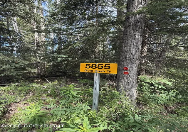 Homes for sale in Delta Junction, AK | 5855 Gold Rush Trail, Delta Junction, AK 99737 | MLS# 26-8205