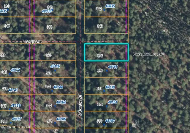 Homes for sale in Willow, AK | 000 S Trophy St, Willow, AK 99688 | MLS# 26-8204