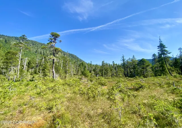 Photo 1 of Land for sale at L3 W El Capitan, Whale Pass, AK 99000 | MLS# 26-8255 | Listing updated on 2026-07-29