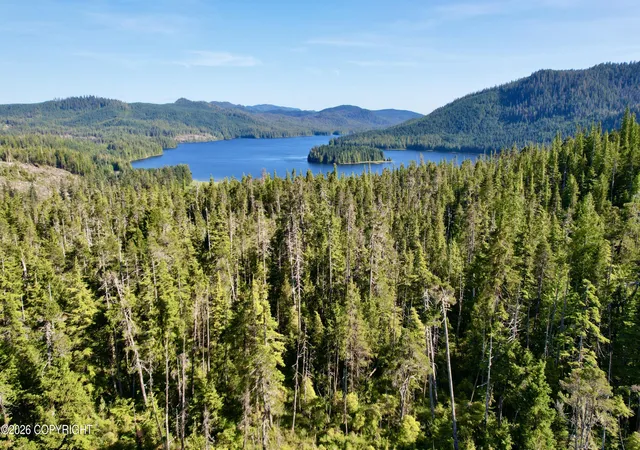 Photo 2 of Land for sale at L3 W El Capitan, Whale Pass, AK 99000 | MLS# 26-8255 | Listing updated on 2026-07-29