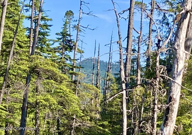 Photo 3 of Land for sale at L3 W El Capitan, Whale Pass, AK 99000 | MLS# 26-8255 | Listing updated on 2026-07-29