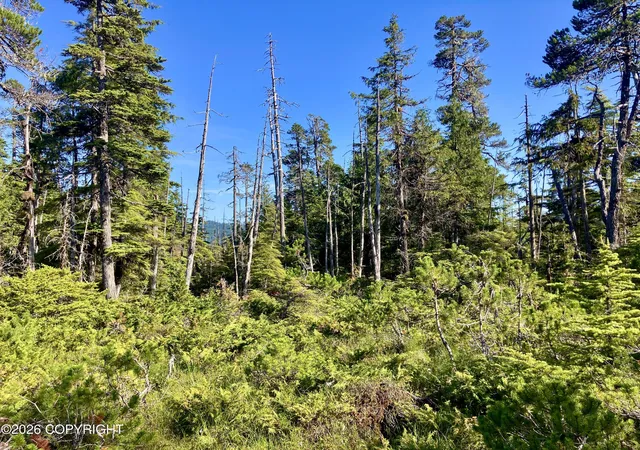 Photo 3 of Land for sale at L3 W El Capitan, Whale Pass, AK 99000 | MLS# 26-8255 | Listing updated on 2026-07-29