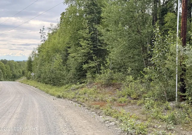 Photo 1 of Land for sale at 21501 E Caswell Lakes Rd, Willow, AK 99688 | MLS# 26-8304 | Listing updated on 2026-07-08