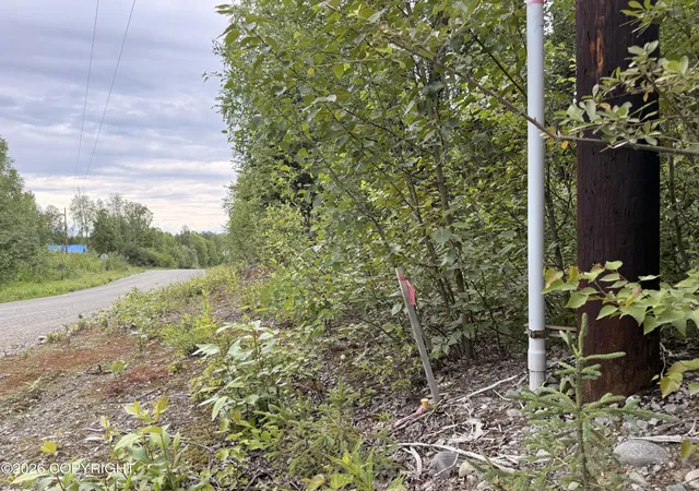 Photo 3 of Land for sale at 21501 E Caswell Lakes Rd, Willow, AK 99688 | MLS# 26-8304 | Listing updated on 2026-07-08