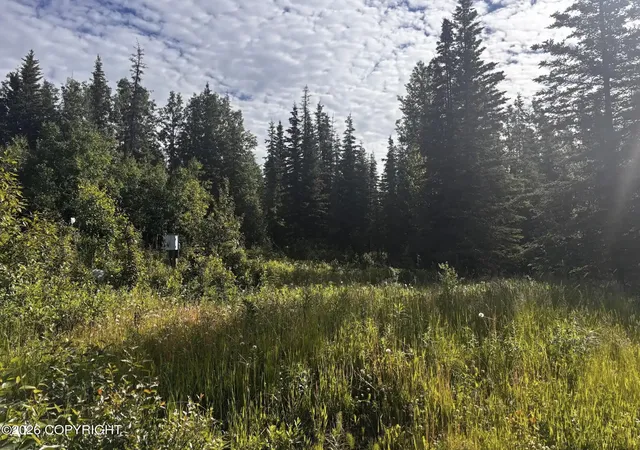 Homes for sale in Sterling, AK | 39606 Valley View Rd, Sterling, AK 99672 | MLS# 26-8382