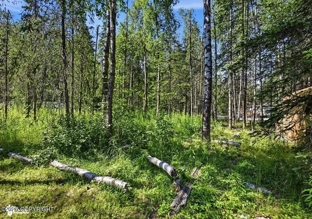 Photo 45 of Sale Pending at 18306 Birchtree St, Chugiak, AK 99567 | MLS# 26-9746 | Listing updated on 2026-08-04